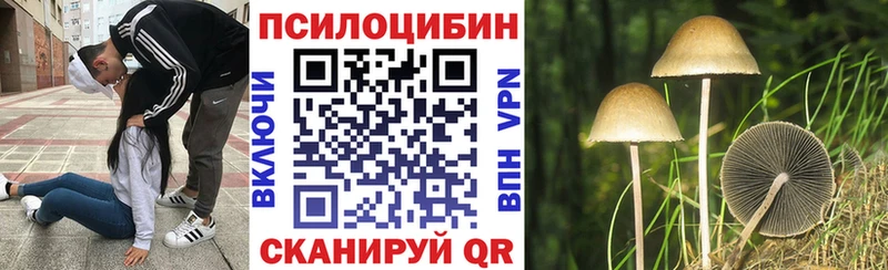 площадка состав  Королёв  Галлюциногенные грибы ЛСД 